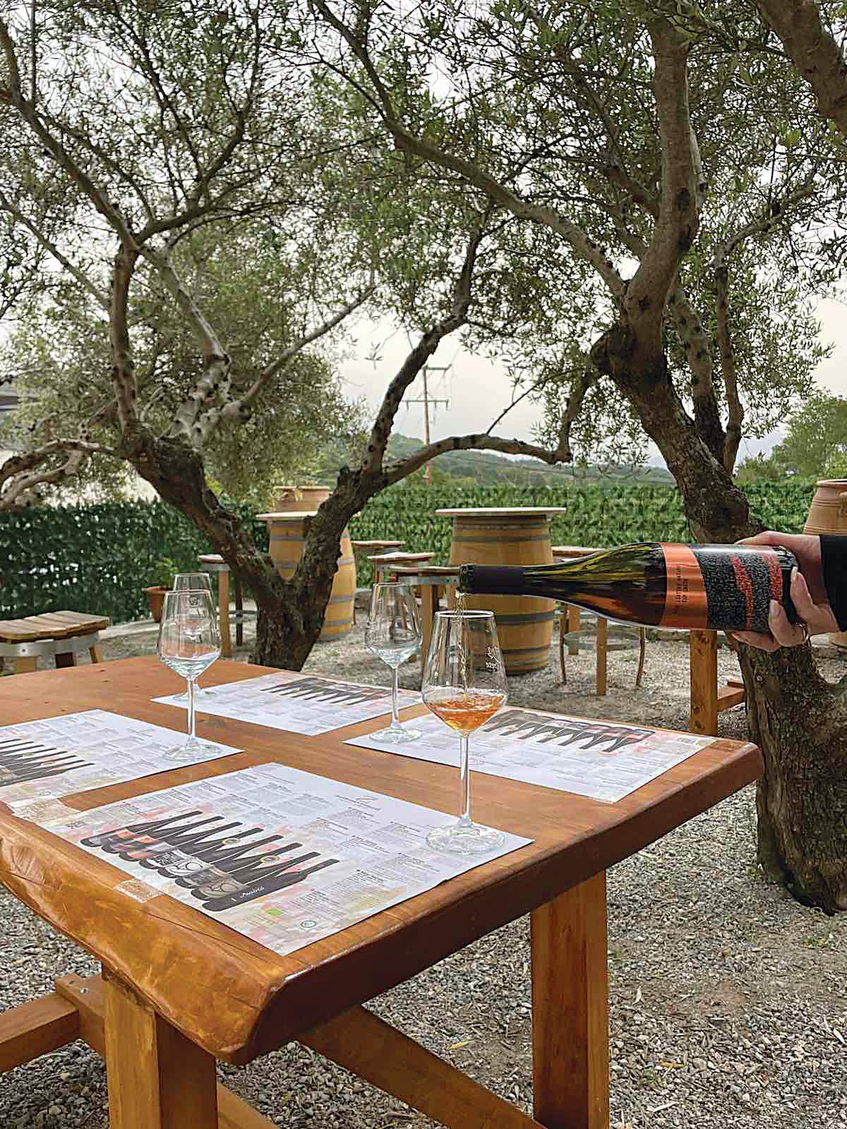 wine tasting area